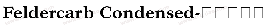 Feldercarb Condensed字体转换